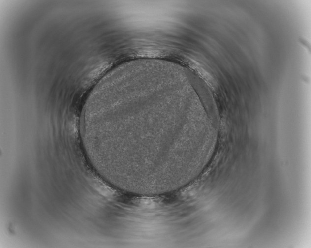 X0000095910305200802011156