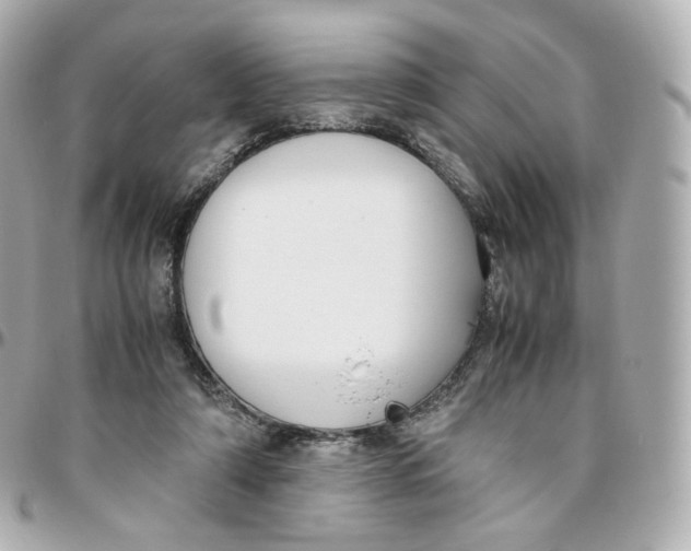 X0000095910306200802011156