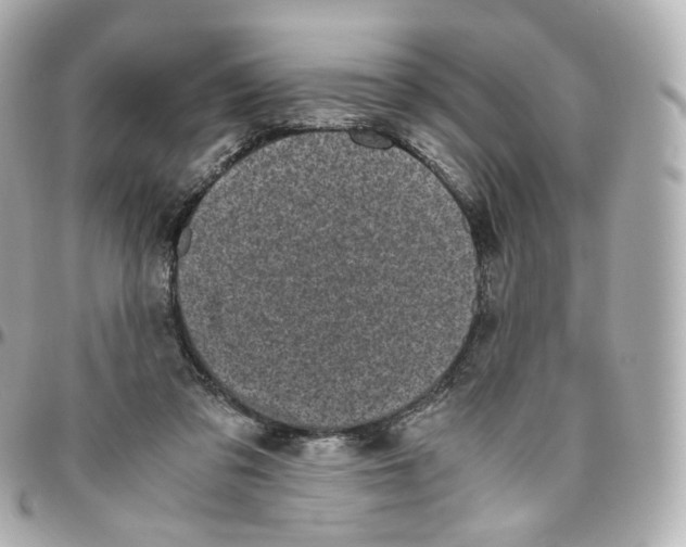 X0000095910309200802011156