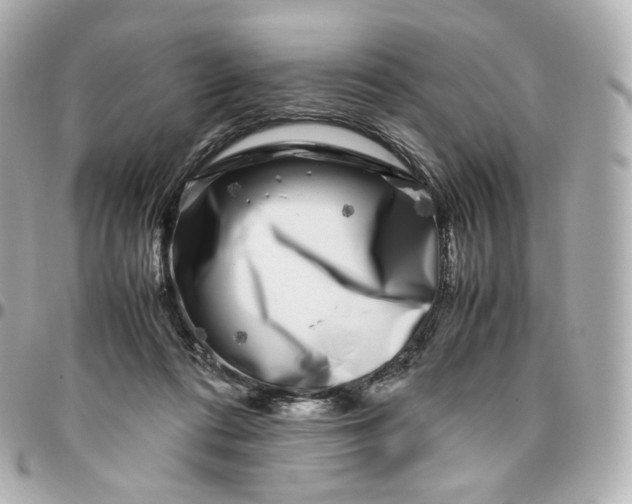 X0000095910312200802011156