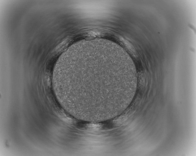 X0000095910313200802011156