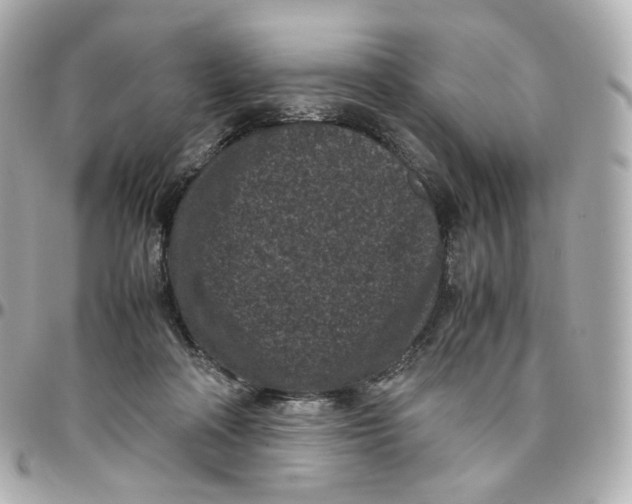 X0000095910314200802011156