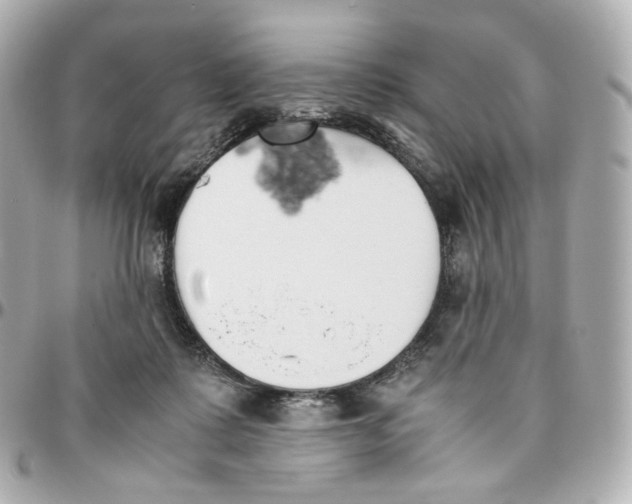 X0000095910315200802011156