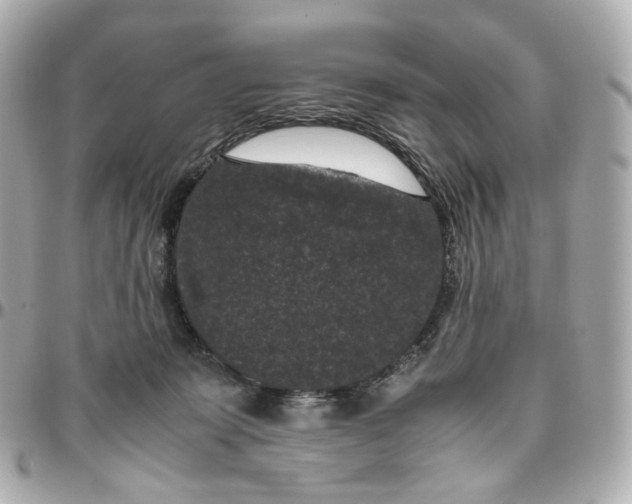 X0000095910319200802011156