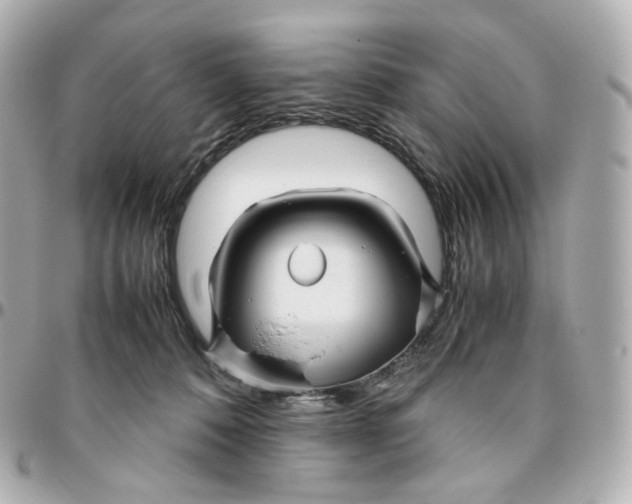 X0000095910320200802011156