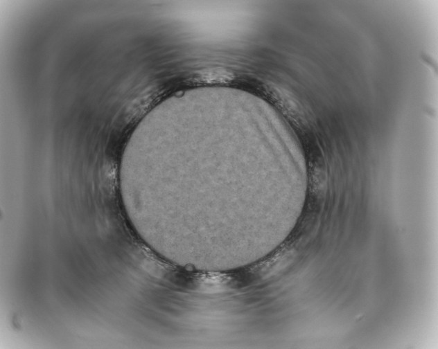 X0000095910321200802011156