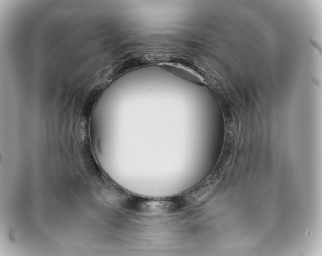 X0000095910323200802011156