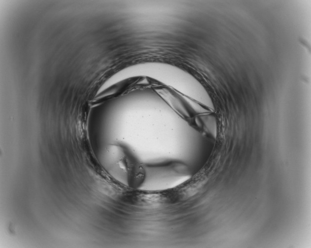 X0000095910324200802011156