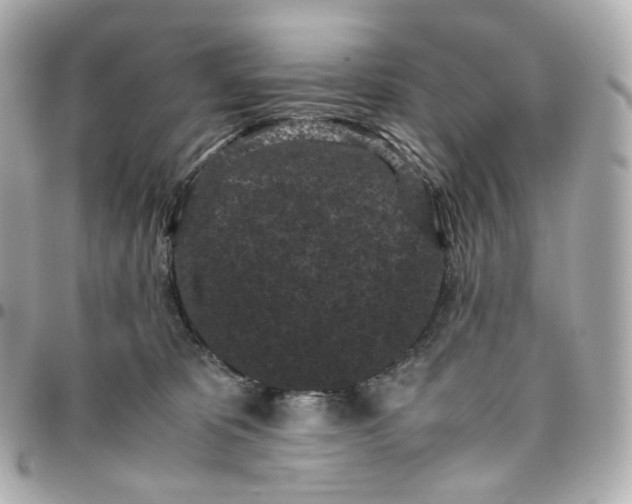 X0000095910325200802011156