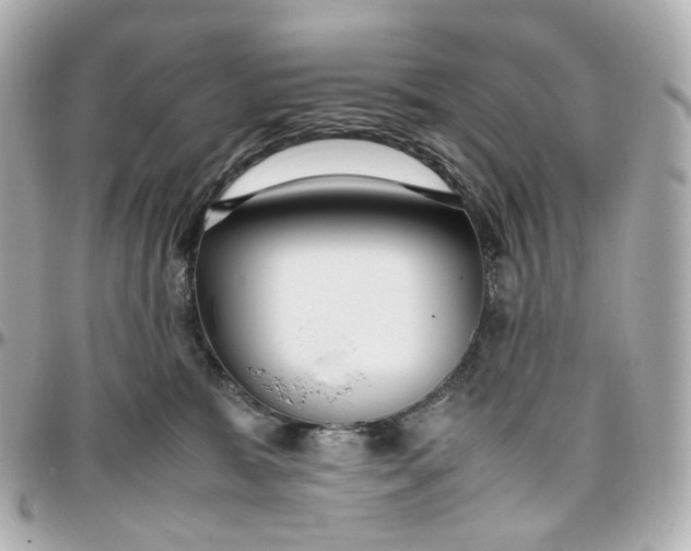 X0000095910327200802011156