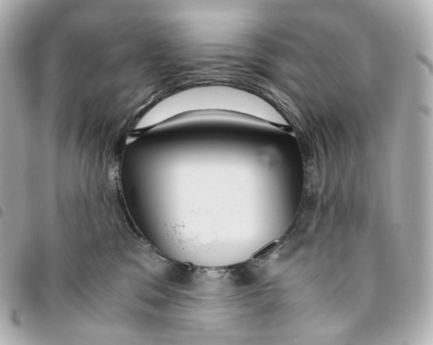 X0000095910329200802011156