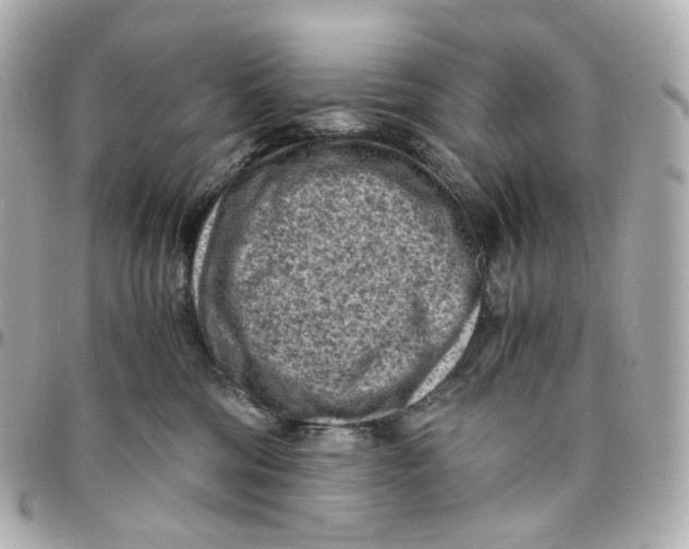 X0000095910330200802011156