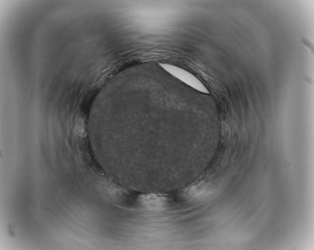 X0000095910331200802011156