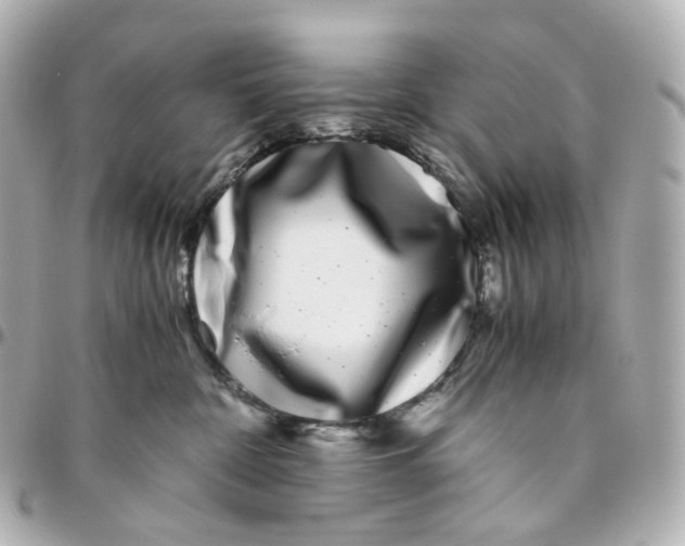 X0000095910332200802011156