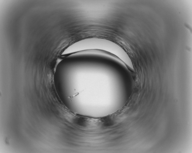 X0000095910333200802011156