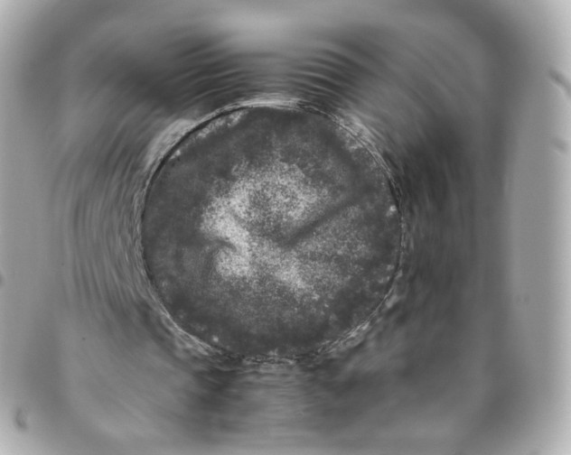 X0000095910337200802011155