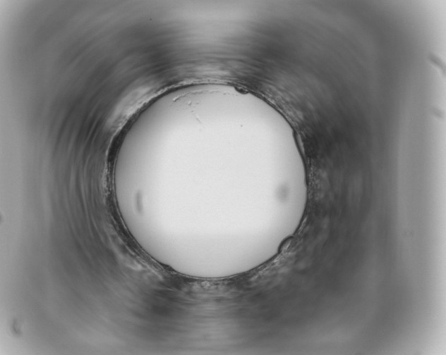 X0000095910338200802011155