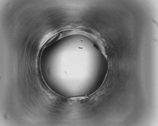 X0000095910340200802011155