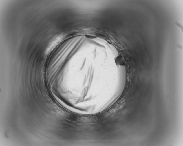 X0000095910341200802011155