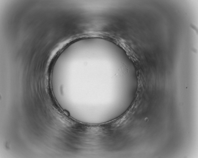 X0000095910342200802011155