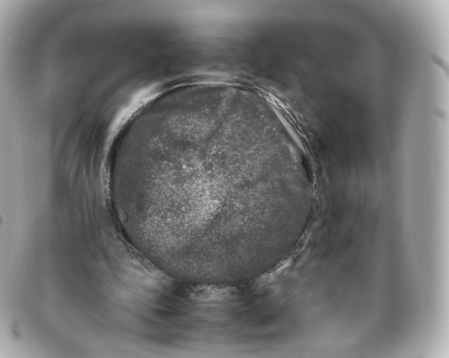 X0000095910343200802011155