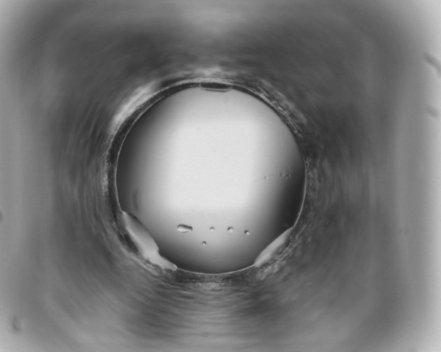 X0000095910344200802011155