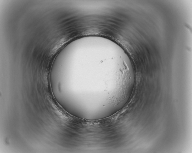 X0000095910345200802011155