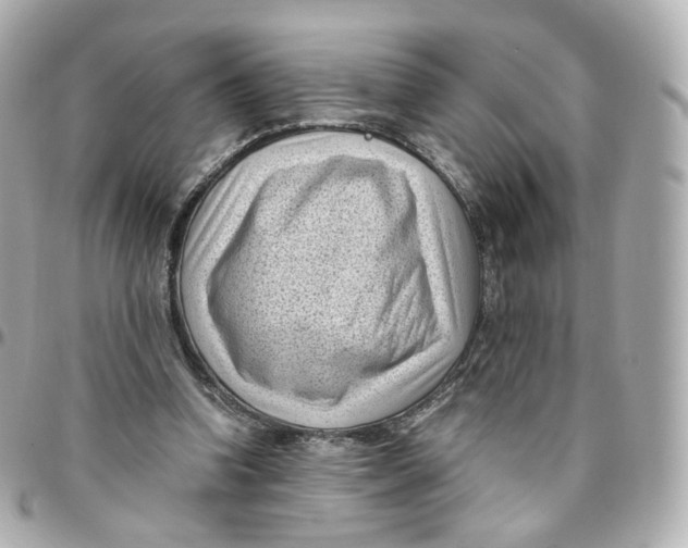 X0000095910346200802011155