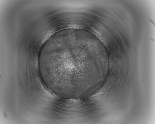 X0000095910347200802011155