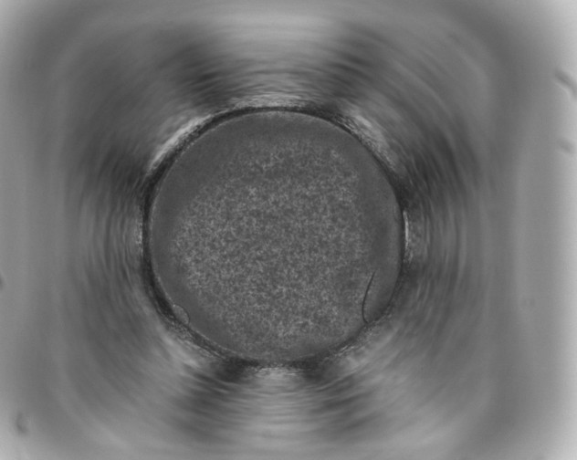 X0000095910348200802011156