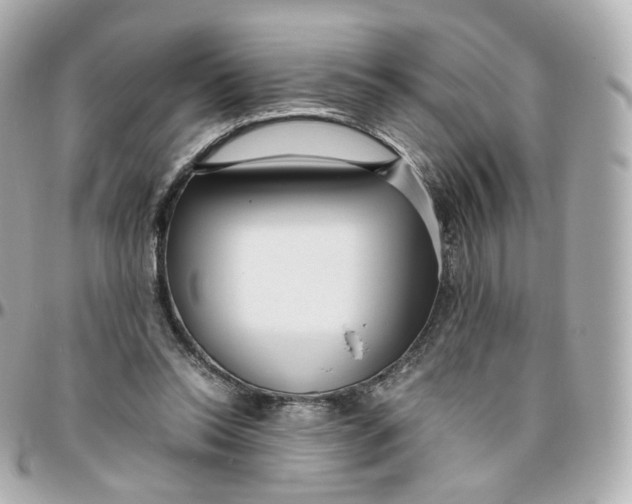 X0000095910350200802011156