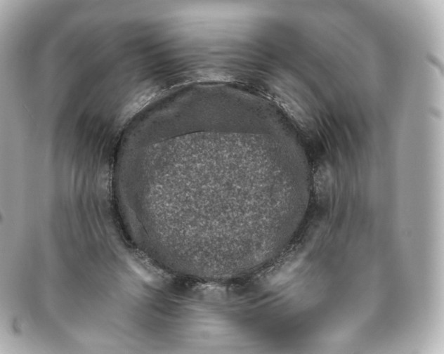 X0000095910352200802011156