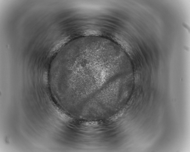 X0000095910353200802011156