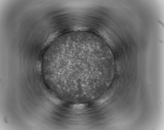 X0000095910357200802011156