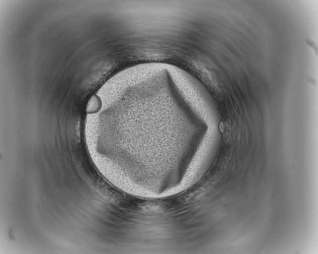 X0000095910358200802011156