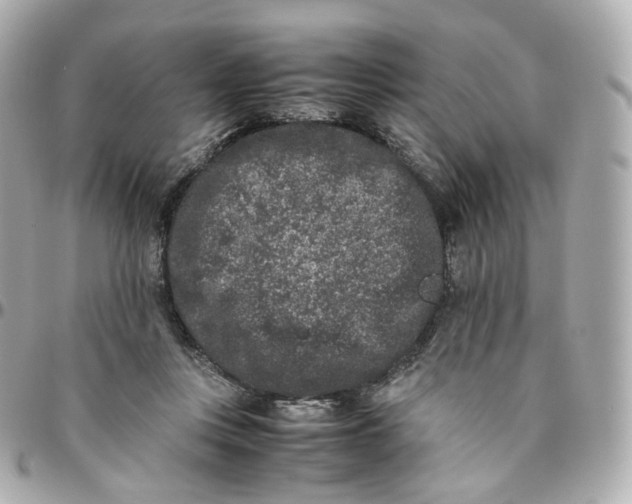 X0000095910359200802011156