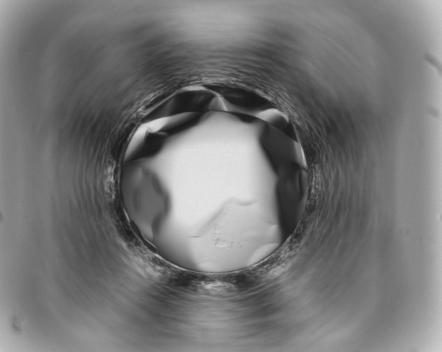 X0000095910360200802011156