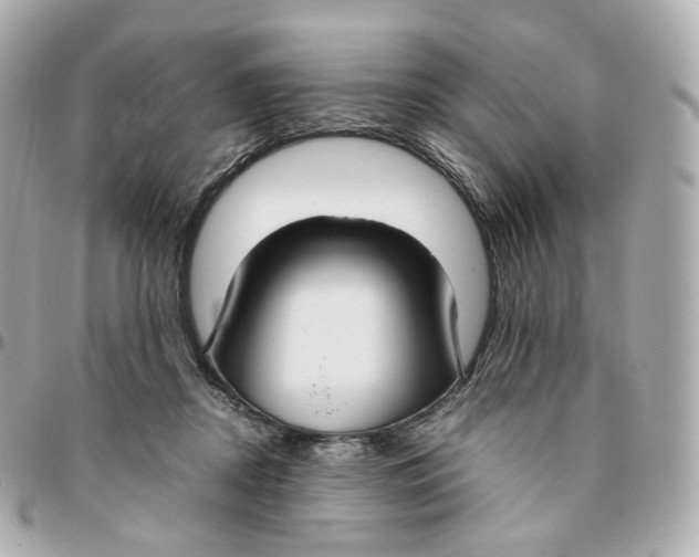 X0000095910362200802011156