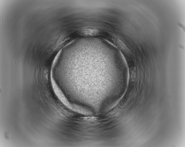 X0000095910363200802011156