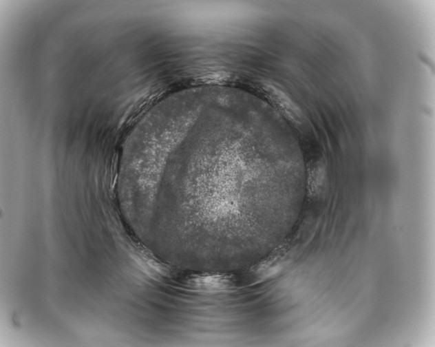 X0000095910365200802011156