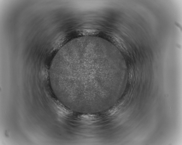 X0000095910367200802011156