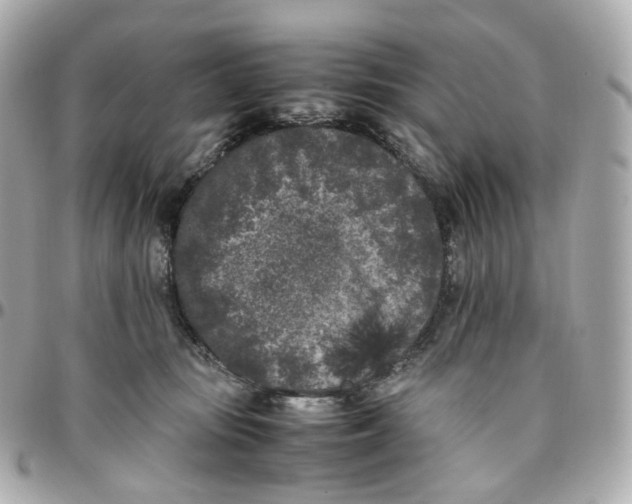 X0000095910371200802011156