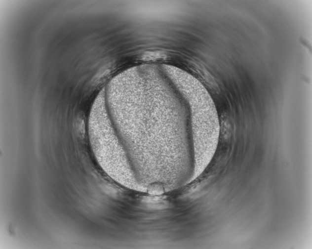 X0000095910375200802011156