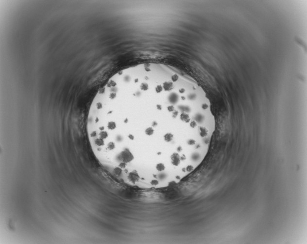 X0000095910376200802011156