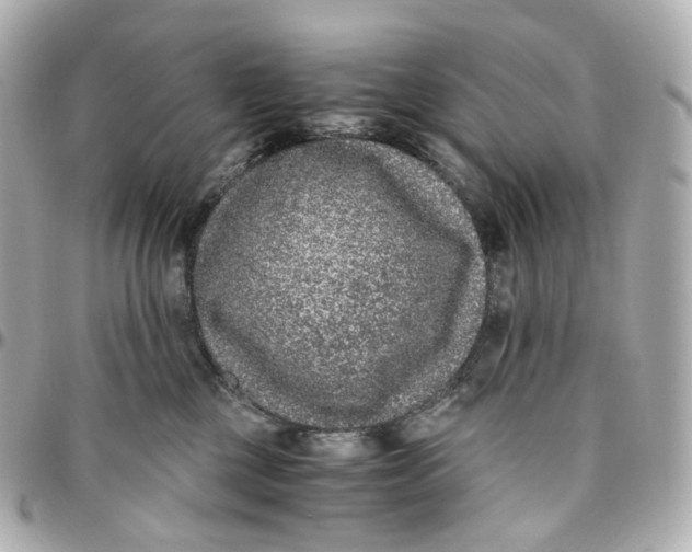 X0000095910377200802011156