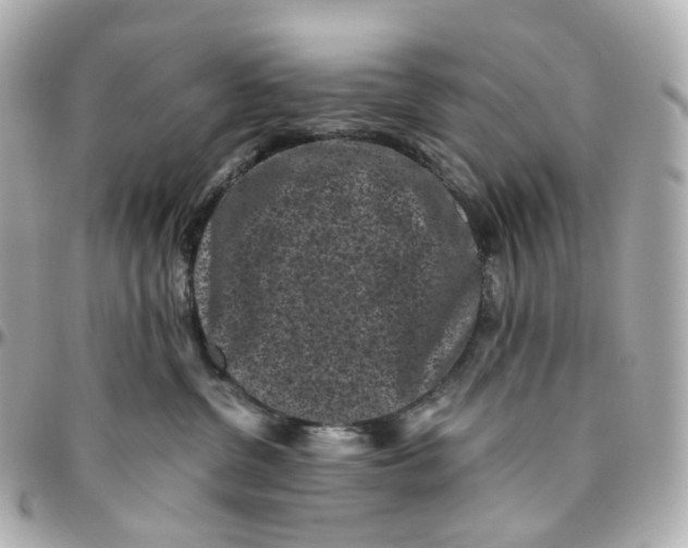 X0000095910380200802011156