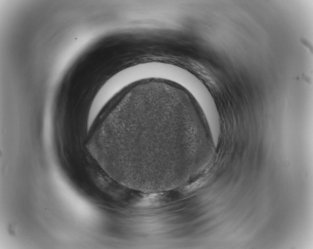 X0000095910382200802011156