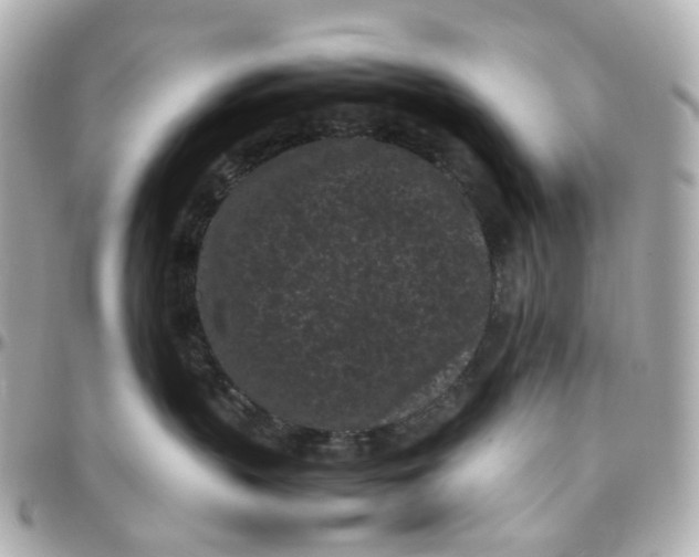 X0000095910383200802011156