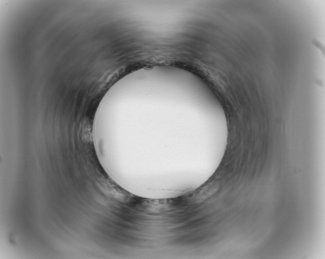 X0000095910384200802011156