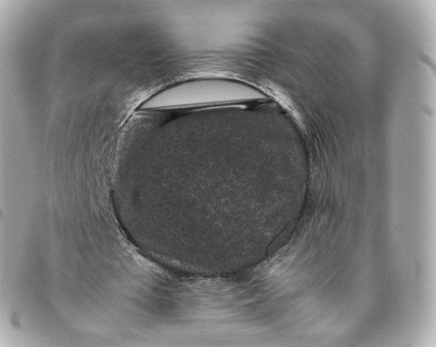 X0000095910385200802011155